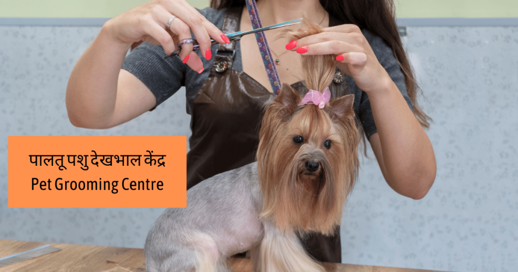 पालतू पशु देखभाल केंद्र Pet Grooming Centre